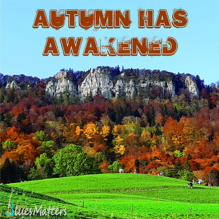 Autumn has awakened